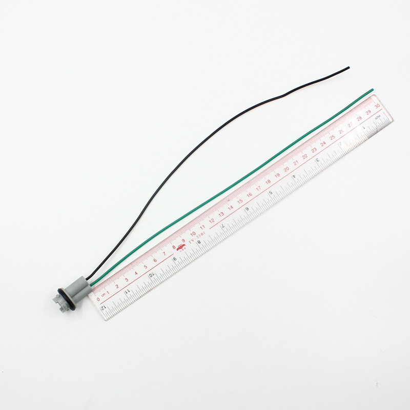 FSYLX 2 stuks T10 fitting houd - Led El Wire recensie en prijs